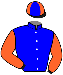 casaque portée par Chalon Ch. jockey du cheval de course HALL BLACK MESS, information pmu ZETURF