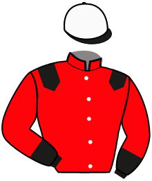 casaque portée par Raimbeaux N. jockey du cheval de course LET'S MOVE ON, information pmu ZETURF