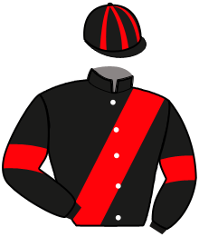 casaque portée par Bouclet Mme E. jockey du cheval de course LA MAGIE DU PERSIL, information pmu ZETURF