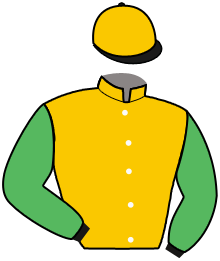 casaque portée par Journiac H. jockey du cheval de course SAINT ELIGIUS, information pmu ZETURF