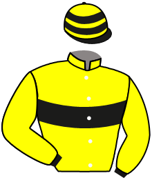 casaque portée par Barzalona M. jockey du cheval de course RASHFORD, information pmu ZETURF
