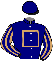 casaque portée par D' Andigne O. jockey du cheval de course JORDANELLA, information pmu ZETURF