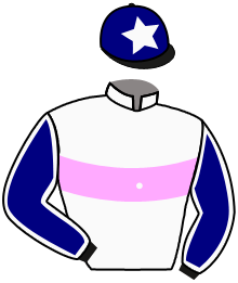 casaque portée par Favriaux Mal. jockey du cheval de course DAYAL, information pmu ZETURF