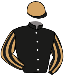 casaque portée par Breux D. jockey du cheval de course PRINCESS LILY, information pmu ZETURF