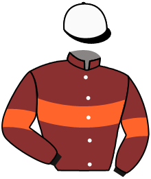 casaque portée par Santiago Mlle D. jockey du cheval de course BELHAD JELOIS, information pmu ZETURF