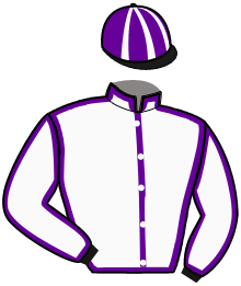casaque portée par Touron G. jockey du cheval de course LEADER BENOIT, information pmu ZETURF