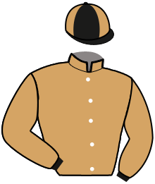 casaque portée par Mourice R. jockey du cheval de course JAYA DU QUENNE, information pmu ZETURF