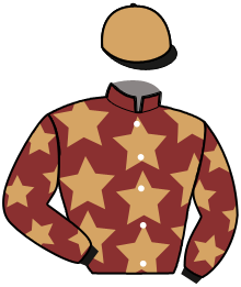 casaque portée par Tomaselli A. jockey du cheval de course INCROYABLE KYRN, information pmu ZETURF