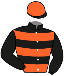 casaque portée par Thonnerieux K. jockey du cheval de course INIMITABLE, information pmu ZETURF