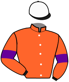 casaque portée par Debue R. jockey du cheval de course MEHO DU BUC, information pmu ZETURF