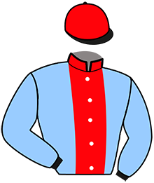 casaque portée par Audebert E. jockey du cheval de course MONARA DE GUEZ, information pmu ZETURF