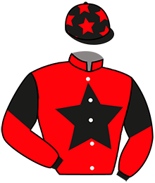 casaque portée par Baty C. jockey du cheval de course ICI MACHECOUL, information pmu ZETURF