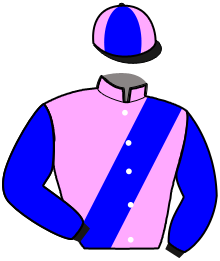 casaque portée par Rahault M. jockey du cheval de course INTER D'OO, information pmu ZETURF