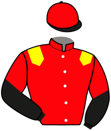 casaque portée par Marty F. jockey du cheval de course HONORE LE FOL, information pmu ZETURF