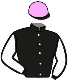 casaque portée par Audebert E. jockey du cheval de course JOSS AIMEF, information pmu ZETURF