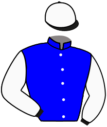 casaque portée par Wolff L. jockey du cheval de course HANSOTTOGRUBER, information pmu ZETURF