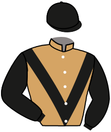 casaque portée par Deriu Seb. jockey du cheval de course LA SEBASTIANA, information pmu ZETURF