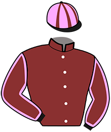 casaque portée par Bossuet F. P. jockey du cheval de course MALICE SPEED, information pmu ZETURF