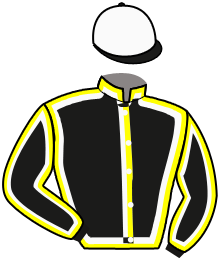 casaque portée par Lebourgeois Y. jockey du cheval de course DOMINGO BAR, information pmu ZETURF