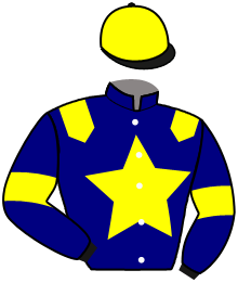 casaque portée par Enault C. jockey du cheval de course JULIANA SPIRIT, information pmu ZETURF