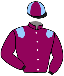 casaque portée par Figueira T. jockey du cheval de course PAROLE D'AMIS, information pmu ZETURF