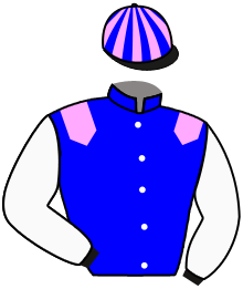 casaque portée par Nail-rocher Vic. jockey du cheval de course LAGAZELLE, information pmu ZETURF