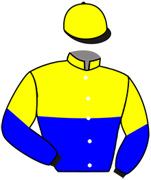 casaque portée par Hardouin E. jockey du cheval de course THE TOP GATSBY, information pmu ZETURF