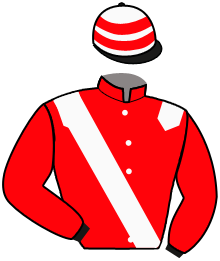 casaque portée par Topin Mme S. jockey du cheval de course FANLINE, information pmu ZETURF