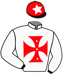 casaque portée par Seguy V. jockey du cheval de course RAYLA, information pmu ZETURF