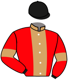 casaque portée par Protti Mar. jockey du cheval de course VIKTHOR, information pmu ZETURF