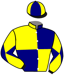 casaque portée par Molins Mme Amb. jockey du cheval de course MY SECRET LIGHT, information pmu ZETURF