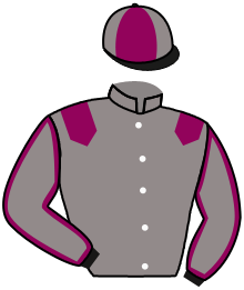 casaque portée par Favriaux Mal. jockey du cheval de course LADY MADEIRA, information pmu ZETURF