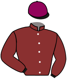 casaque portée par Wolff L. jockey du cheval de course AKIDO, information pmu ZETURF