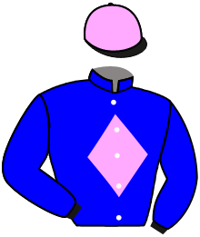 casaque portée par Boisseau L. jockey du cheval de course CAPMAN FAL, information pmu ZETURF
