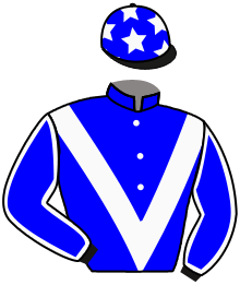 casaque portée par Cheyer Mme Per. jockey du cheval de course GO FOR IT, information pmu ZETURF