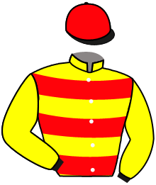 casaque portée par Boisseau L. jockey du cheval de course WARELIA, information pmu ZETURF