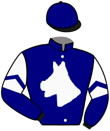 casaque portée par Favriaux Mal. jockey du cheval de course SOUL OF FREEDOM, information pmu ZETURF