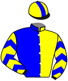 casaque portée par Berge C. jockey du cheval de course LEXINGTON GOLD, information pmu ZETURF