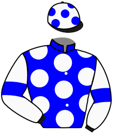 casaque portée par Berge C. jockey du cheval de course WINTERVOGEL, information pmu ZETURF