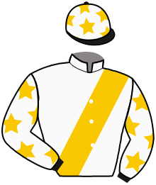 casaque portée par Valle Skar Mlle F. jockey du cheval de course ELLERSTINA, information pmu ZETURF