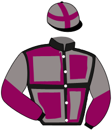 casaque portée par Favriaux Mal. jockey du cheval de course POWER GIRL, information pmu ZETURF