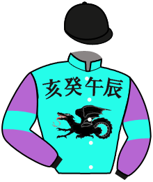 casaque portée par Valle Skar Mlle F. jockey du cheval de course GENTLEMAN BEAUTY, information pmu ZETURF
