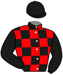 casaque portée par Lefebvre F. jockey du cheval de course ISEULT, information pmu ZETURF