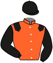 casaque portée par Provost D. jockey du cheval de course LE ROI KLASS, information pmu ZETURF
