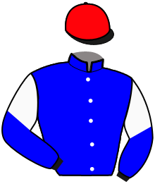 casaque portée par Ploquin Pau. Ph. jockey du cheval de course ENOCK, information pmu ZETURF