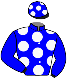 casaque portée par Lebourgeois Y. jockey du cheval de course GIRL DE BASSIERE, information pmu ZETURF