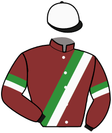 casaque portée par Rochard B. jockey du cheval de course SELF EXPLOSIVE, information pmu ZETURF