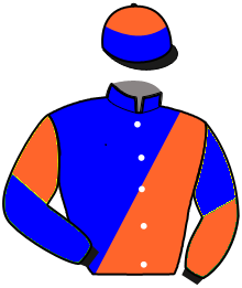 casaque portée par Lagadeuc F. jockey du cheval de course DADA DEL RONCO, information pmu ZETURF