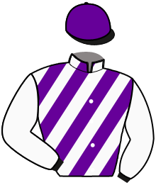 casaque portée par Voisin A. jockey du cheval de course JOKER DU HAMEL, information pmu ZETURF