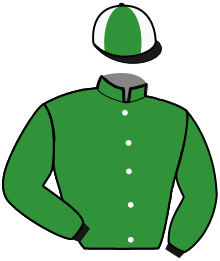 casaque portée par Gesret P. jockey du cheval de course BLUE EYES BAR, information pmu ZETURF